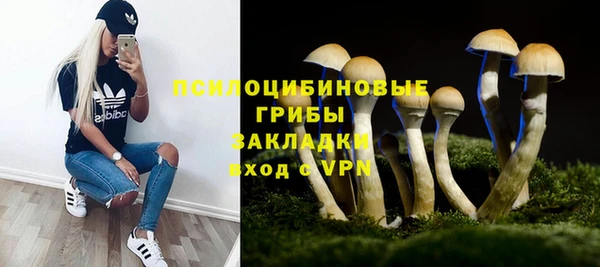 метадон Армянск