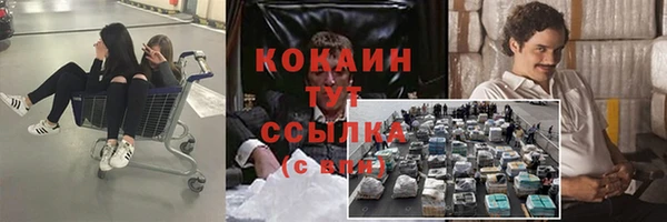 амф Арсеньев