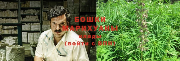 амф Арсеньев