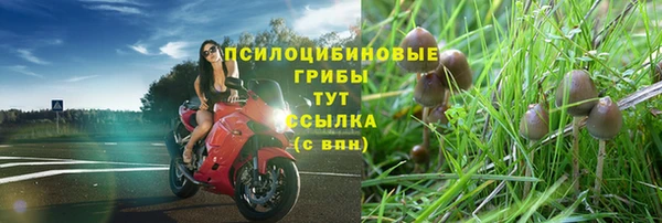 дмт Аркадак